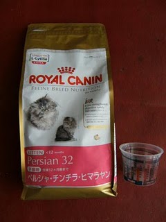 Makanan kucing, vitamin kucing, kucing, stimulan kucing